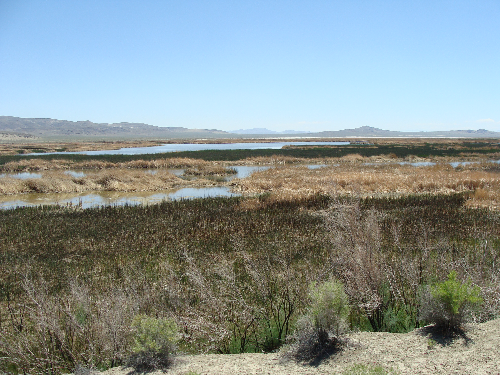 Stillwater NWR