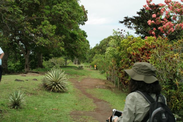 trail1.jpg
