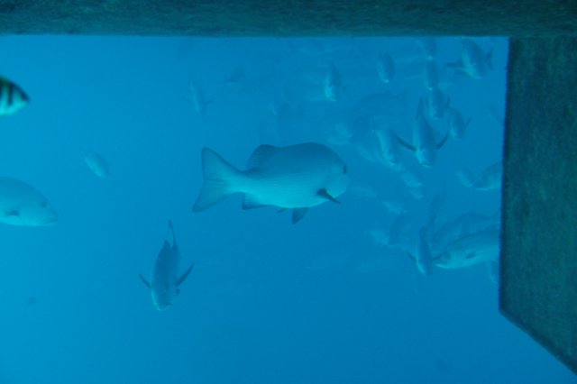 img_7596.jpg