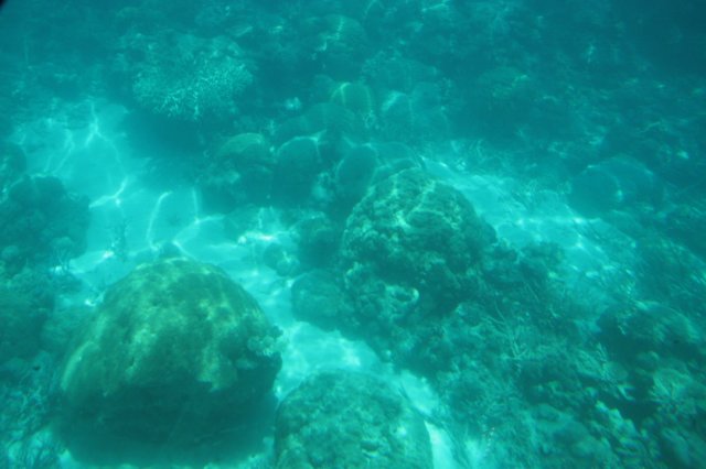 img_7603.jpg